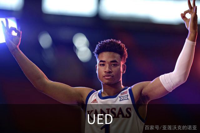 UED 公司简介